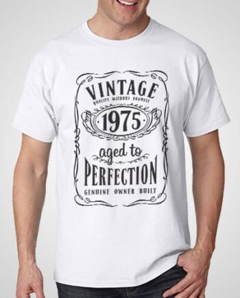 Aged To Perfection Printed T-Shirt Vintage T-Shirt