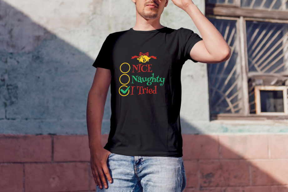 Nice Naughty Tried Funny T-Shirt