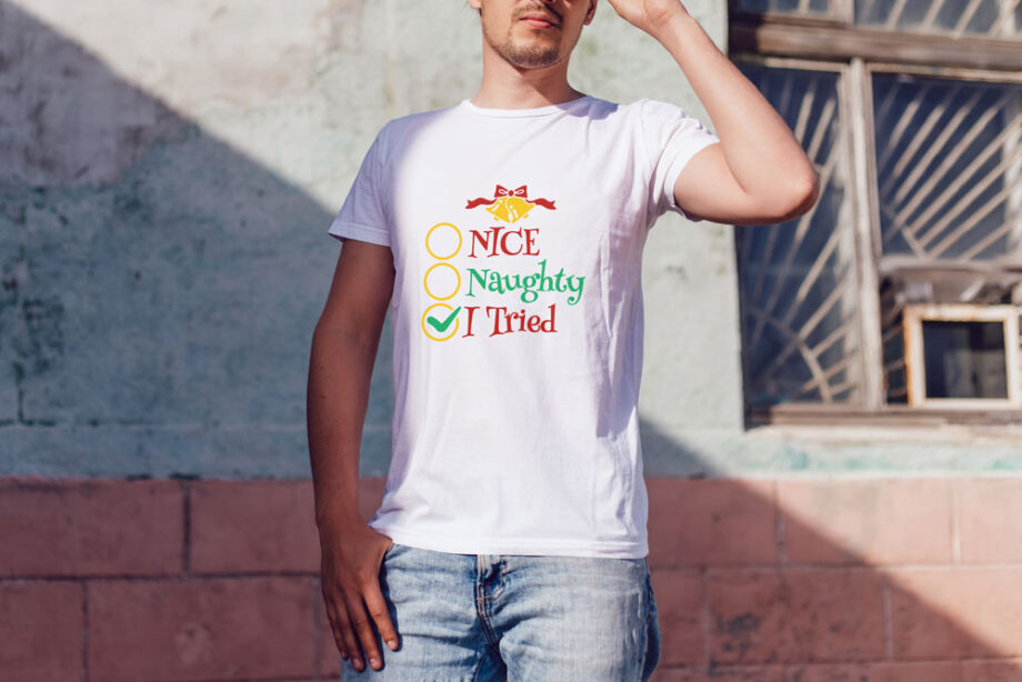 Nice Naughty Tried Funny T-Shirt